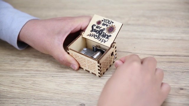 Amazon.com: Music Box You are My Sunshine with Sunflower Necklace